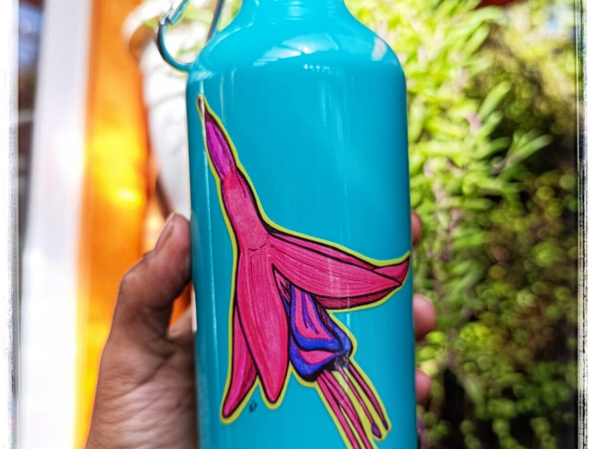 Botella Aluminio 600 ml variedades